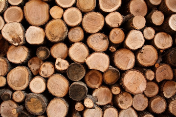 Stack of wood