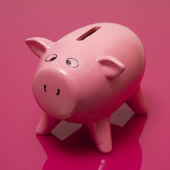 piggy bank style money box