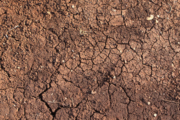 Dry ground