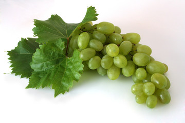 Weintrauben