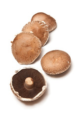 Shitake mushrooms