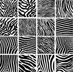 Collection of 16 vector skin zebra texture © sdecoret