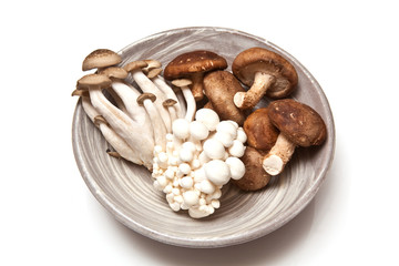 Bowl of exotic mushrooms.