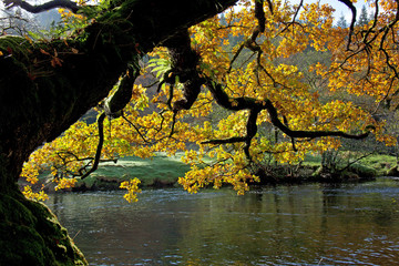 Autumn in Snowdonia