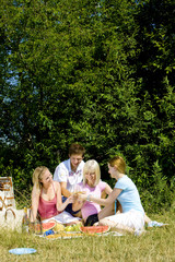 friends at a picnic