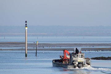 chaland ostreicole sur le bassin d'arcachon