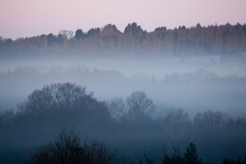 Dawn Mist