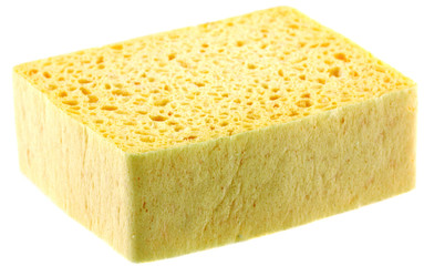 éponge végétale de ménage