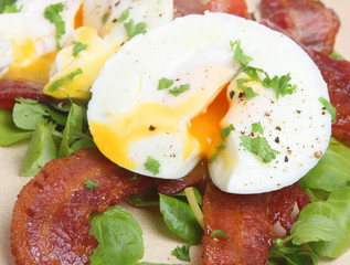Poached Eggs with Bacon