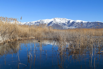 Prespes lake at north Greece