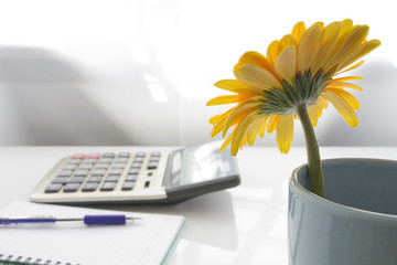 Business desk with gerbera flower