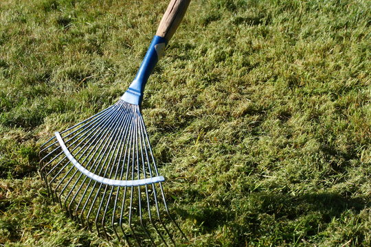 Lawn rake at a tree in the evening orchard