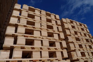 Paletten 19