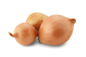 Fresh bulbs of onion on a white background