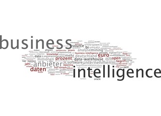 Business Intelligence