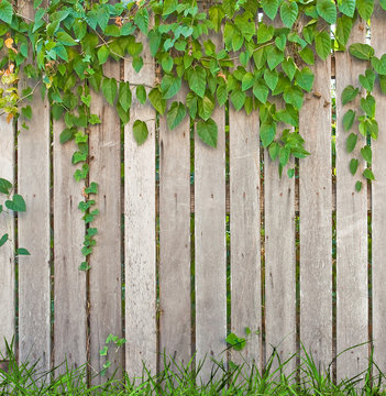 wooden fence © Win Nondakowit