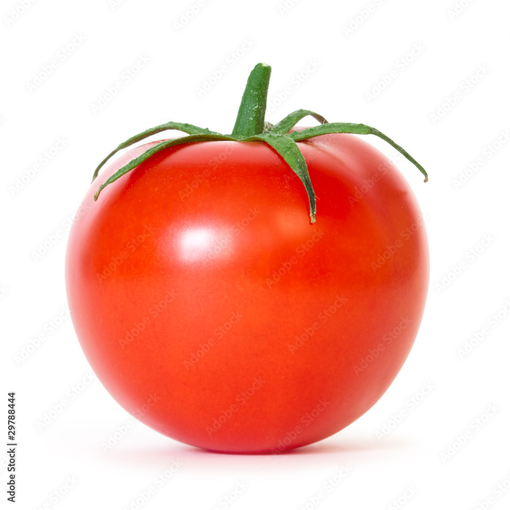 Poster tomato on white background