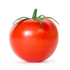 tomato on white background