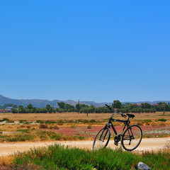 Fototapeta na wymiar Rower na drodze (wyspa Kos, Grecja)