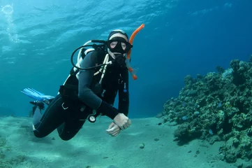 Fotobehang scuba diver having fun © JonMilnes