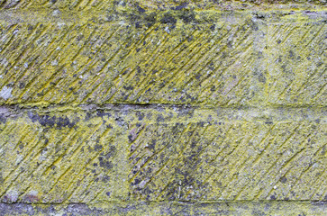 Lichen covered bricks