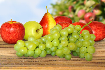 Obst 186
