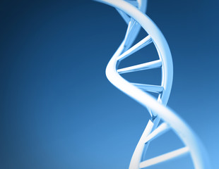 DNA