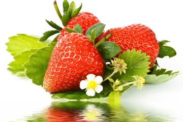 red strawberry
