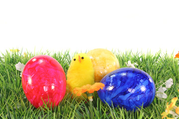 Ostereier und Küken auf einer Wiese