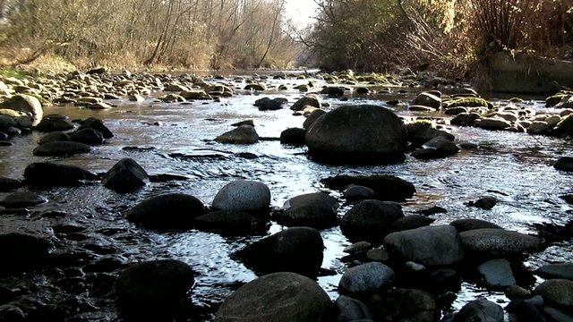 Plan d'eau_4