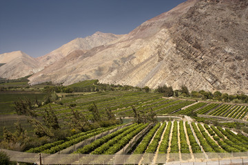 Elqui valley