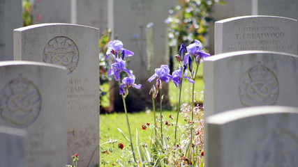 American soldiers grave in Normandy cemetery