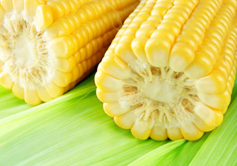 corn cob