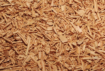 Shavings of juniper on a table as background