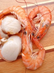 crustacés