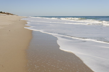 Fototapeta na wymiar Wabasso Beach
