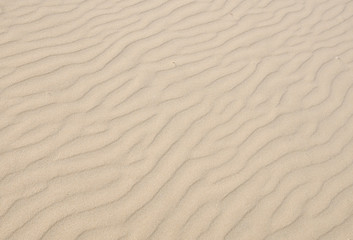 Fototapeta na wymiar Light sand texture with diagonal pattern