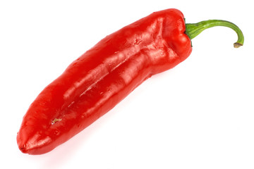 one long red paprika