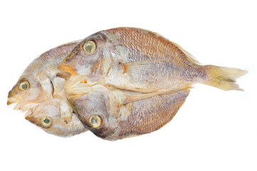 Salted Preserved Fish Isolated On White Background