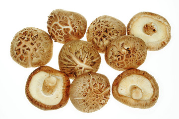 Dried Preserved Mushrooms