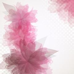 Transparent flowers background
