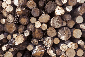 stack of logs