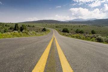 Middle of the Road Curve, High Desert, New Mexico