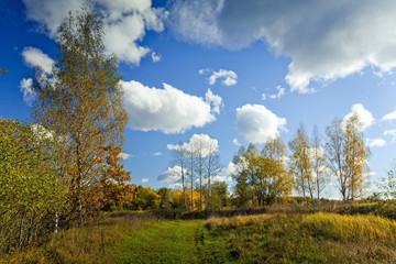 Fototapeta premium Panoramic landscape of sunny autumn field with forest river