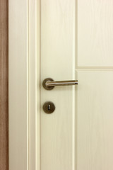 Fototapeta premium wood door