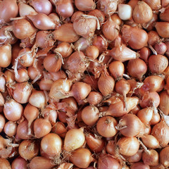 dry small  onions closeup, background