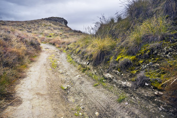 Fototapeta na wymiar Camino entre los cerros