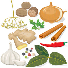 Spices and vegetables for cooking