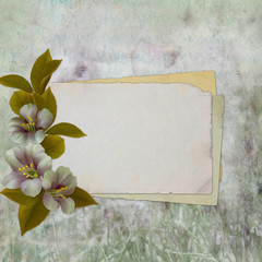 Grunge paper design for information in scrap-booking style