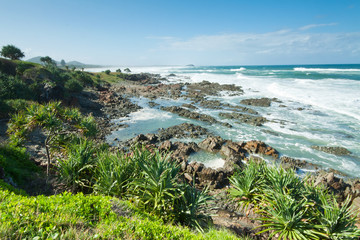 australian seascape during the day with native trees